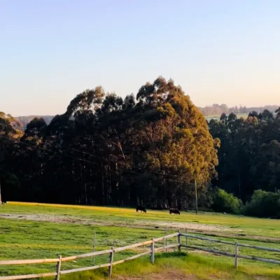 Sleeping up to 6 people these cottages offer fabulous views…