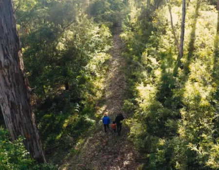 Set off on a thrilling half-day 4WD journey and uncover the wonders of landlocked Yaegarup sand dunes and the giants of Karri forest old growth.