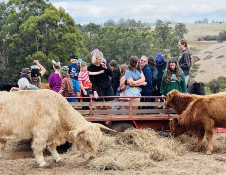 Hayride isn't just for kids-it is a fun and immersive experience for adults too! A chance to unwind, learn, and create memories for everyone.